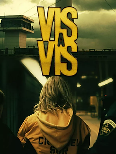 vis.jpg