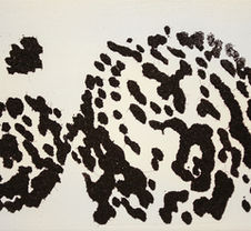 1B6A0288.jpg