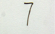 23-Goma de mascar (detalle)_edited.jpg