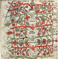 Le développement pro, comme un arbre dans la vie