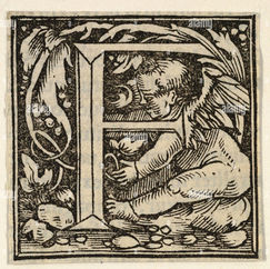 F comme formation professionnelle, initiale et continue (le carré magique, suite)