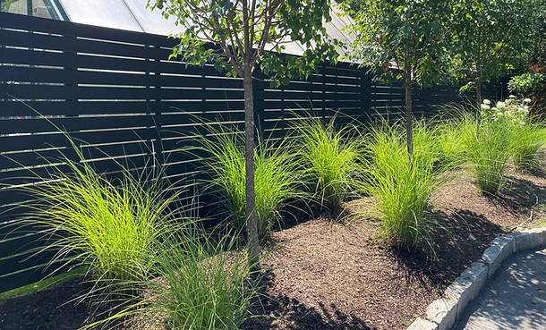 Wood contemporary fence.jpg