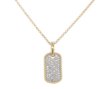 Collar Placa Militar con Diamantes