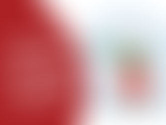 What are boundaries & why do you need them?