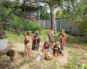 Hurstbridge Christmas Nativity echidna native australian animals 