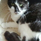 IMG_6156 2_edited.jpg