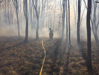 Mutual Aid to Bethel