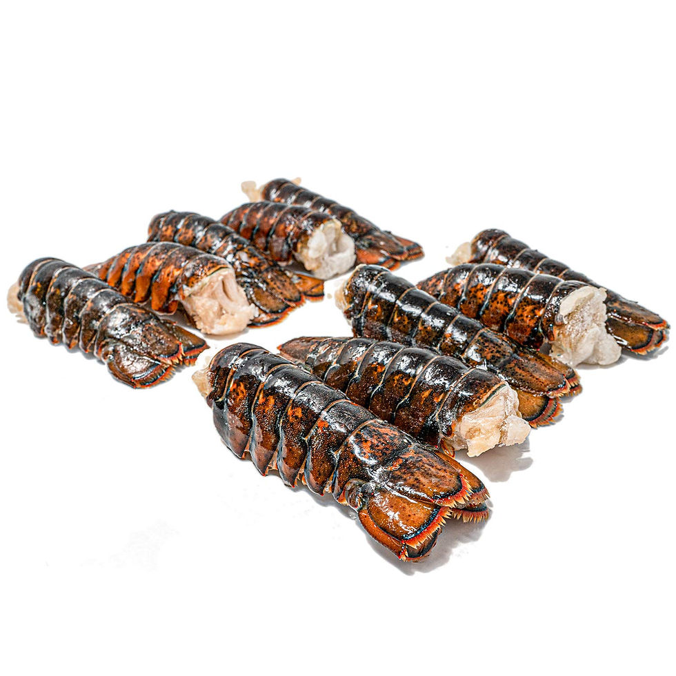 Miniatura: Colas de langosta congeladas de Maine