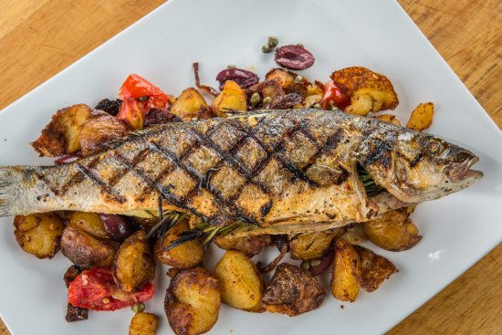 Miniatura: BRANZINO - CULTIVO