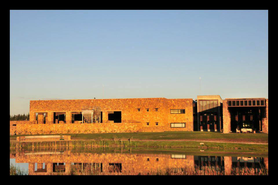 Thumbnail: ウルグアイ・オリーブオイル【Colinas de Garzón】