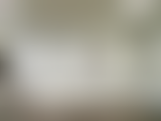 Spring into Color: A Guide to Choosing the Perfect Paint Colors for Your Home