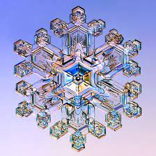 ARTCICLE

Inspired by Image by Carolyn Wright