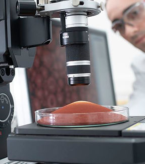 IPG_Lab_284 Sitecore Image Standard.jpg