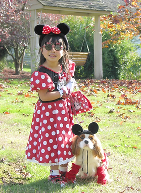 Cavalier costume party