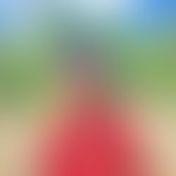 Jubelina Susiana Maniani