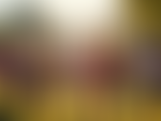 Innovative Voices in Global Media Projects