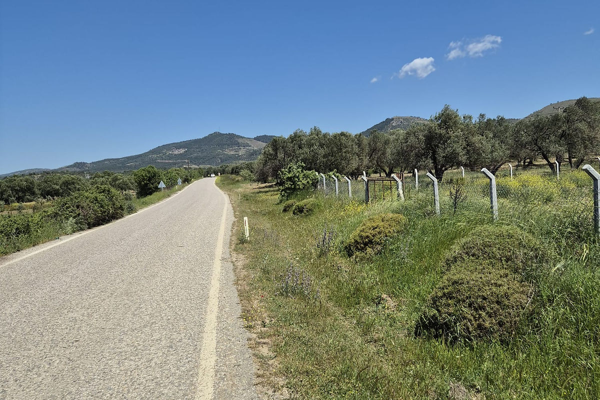 Yeni Köyde Satılık Tarla