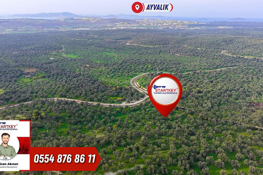 Ayvalık KazımKarabekir Kaçırılmayacak 42 Dönüm Zeytinlik