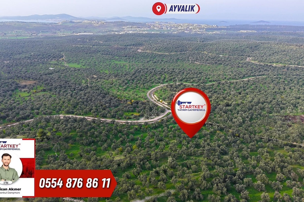 Ayvalık KazımKarabekir Kaçırılmayacak 42 Dönüm Zeytinlik