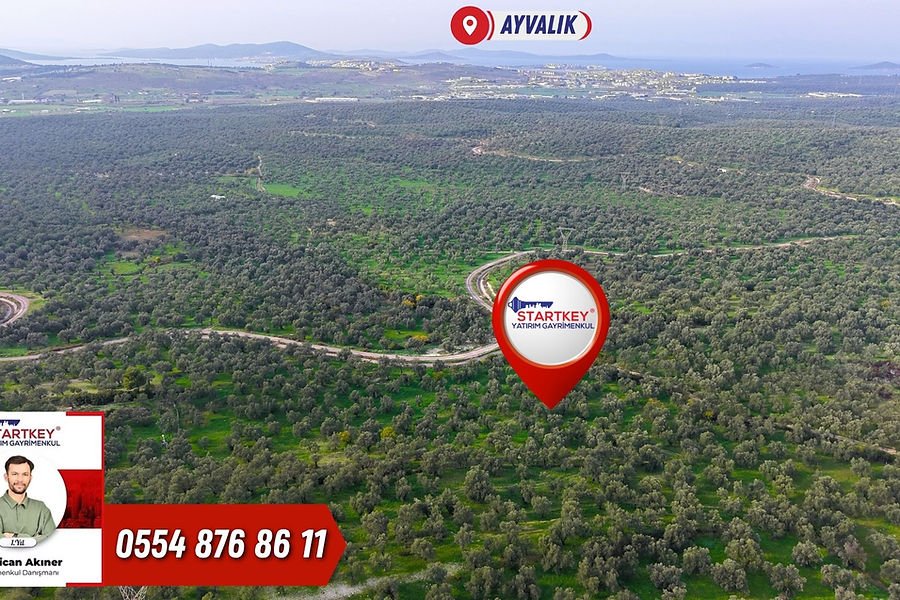 Ayvalık KazımKarabekir Kaçırılmayacak 42 Dönüm Zeytinlik
