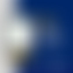 Lançamento de E-book marca primeiro dia do Fórum de Governança em Contratações