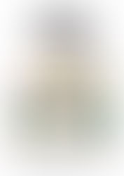 Les Galleries présidentielles