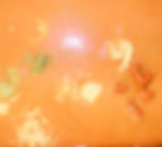 Cream of Tomato & Cheese Tortellini