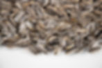 Thumbnail: sunflower seeds