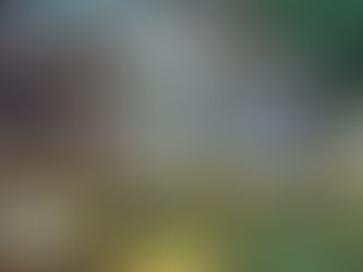 Narcissism : Narcissistic Personality Disorder and Narcissistic Injury.