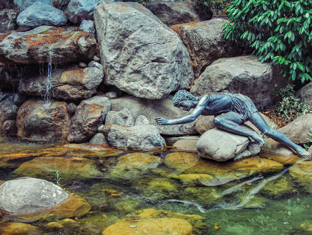 Narcissism : Narcissistic Personality Disorder and Narcissistic Injury.