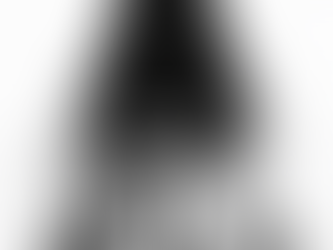 a demonter named RAWON narcissist playing chess with the victim