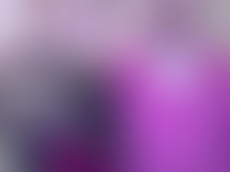 Cinco dominios para observar la cultura organizacional. Distinciones propuestas por Elena Espinal