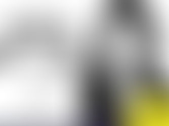 Mindset, la actitud del éxito. Carol Dweck