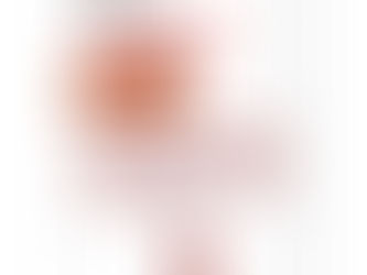 La educación del talento