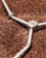 פולי קפה ויזיני, קלייה מקומית