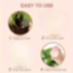 Thumbnail: Crystal Tulip: Charm and Automatic Care for Your Plants