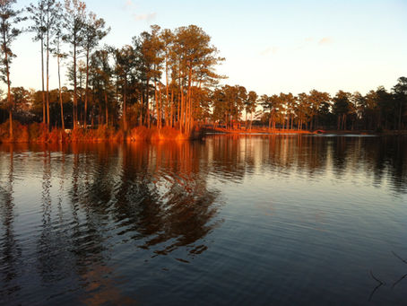 Accretion & Reliction: What To Know When Your Land Is Bounded By Water