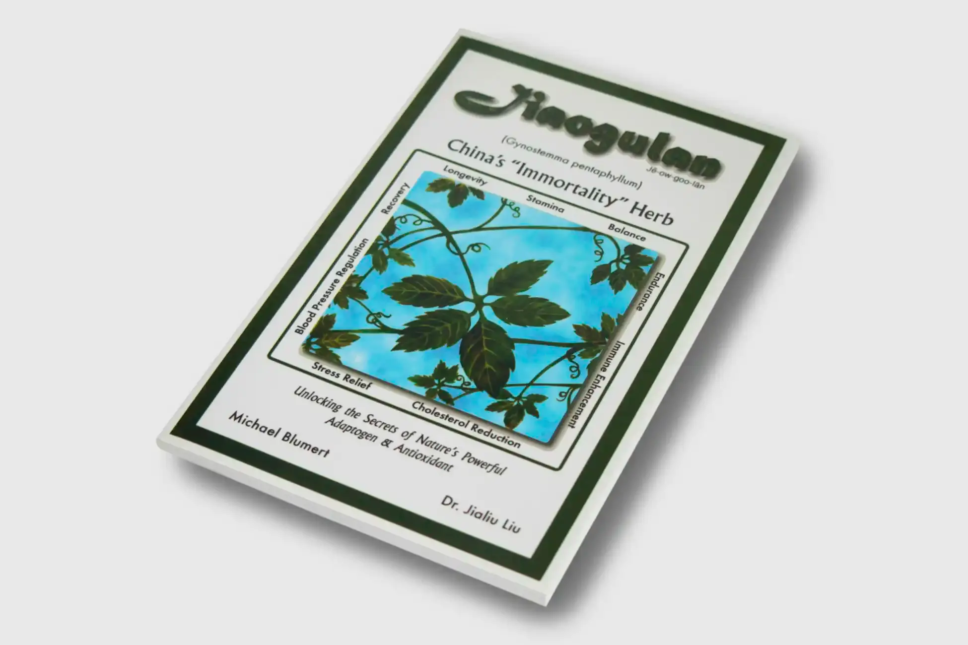 Jiaogulan – China's «Immortality» Herb