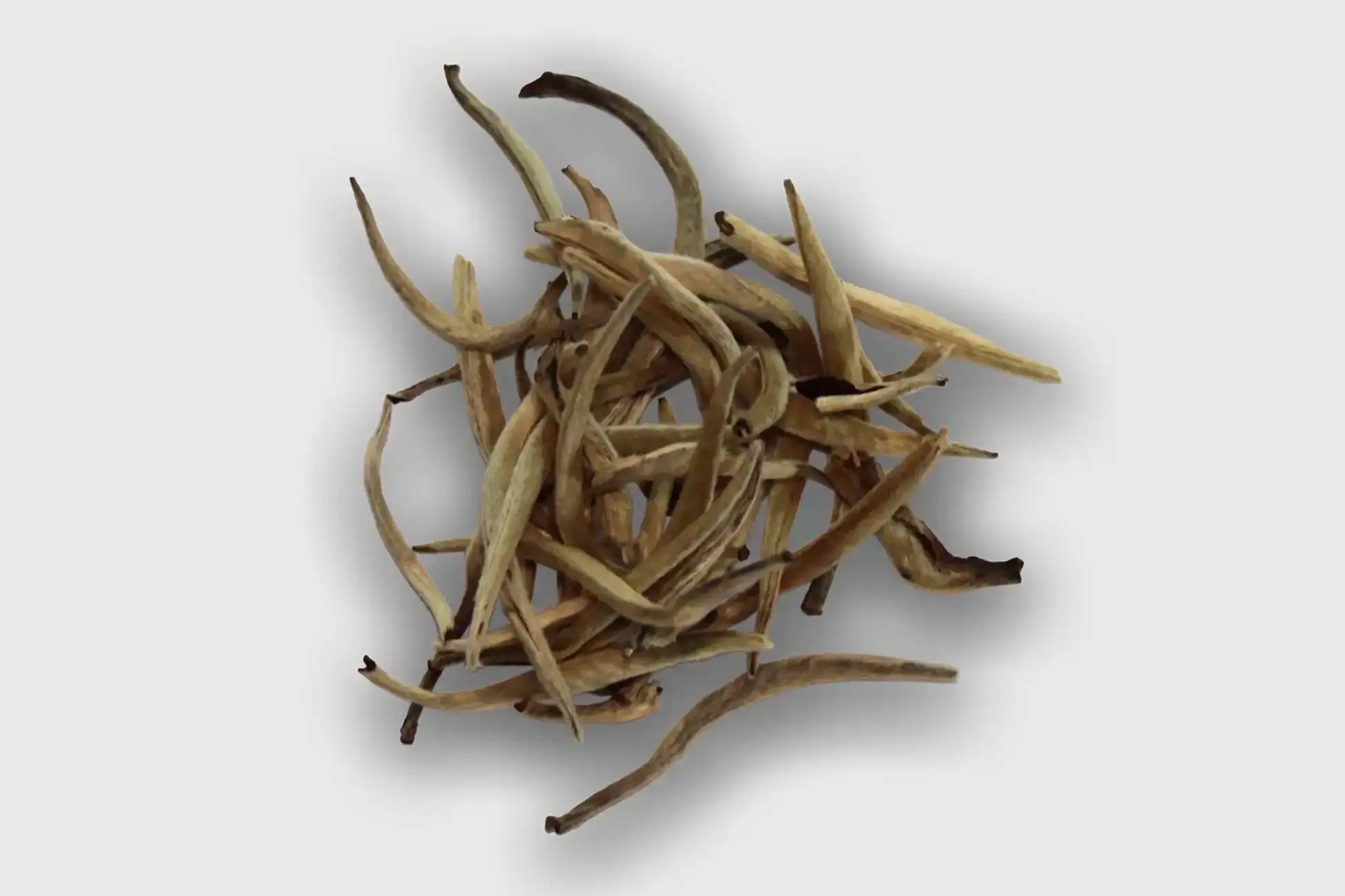 Jing Gu White Pekoe Silver Needles (Yunnan, Chine)