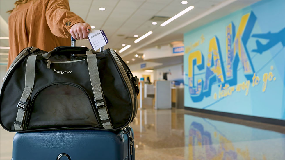 The ticketing area was the perfect location for this Coastal Pet Products, Inc pet carrier video shoot.