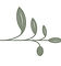 Wise Woman Bloom olive sprig logo — inner peace and guided meditation brand