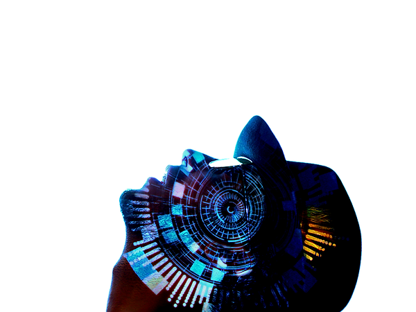 logo%20web%20size%20distrokid%20(1)_edit