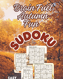 SUDOKU 2.png