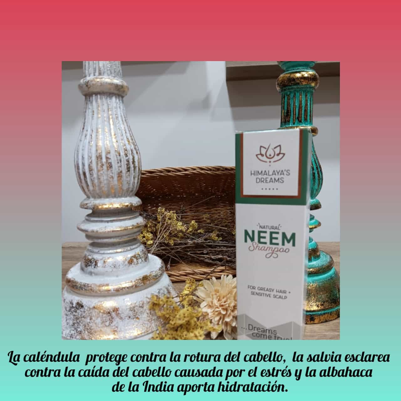 champú natural neem, anti rotura
