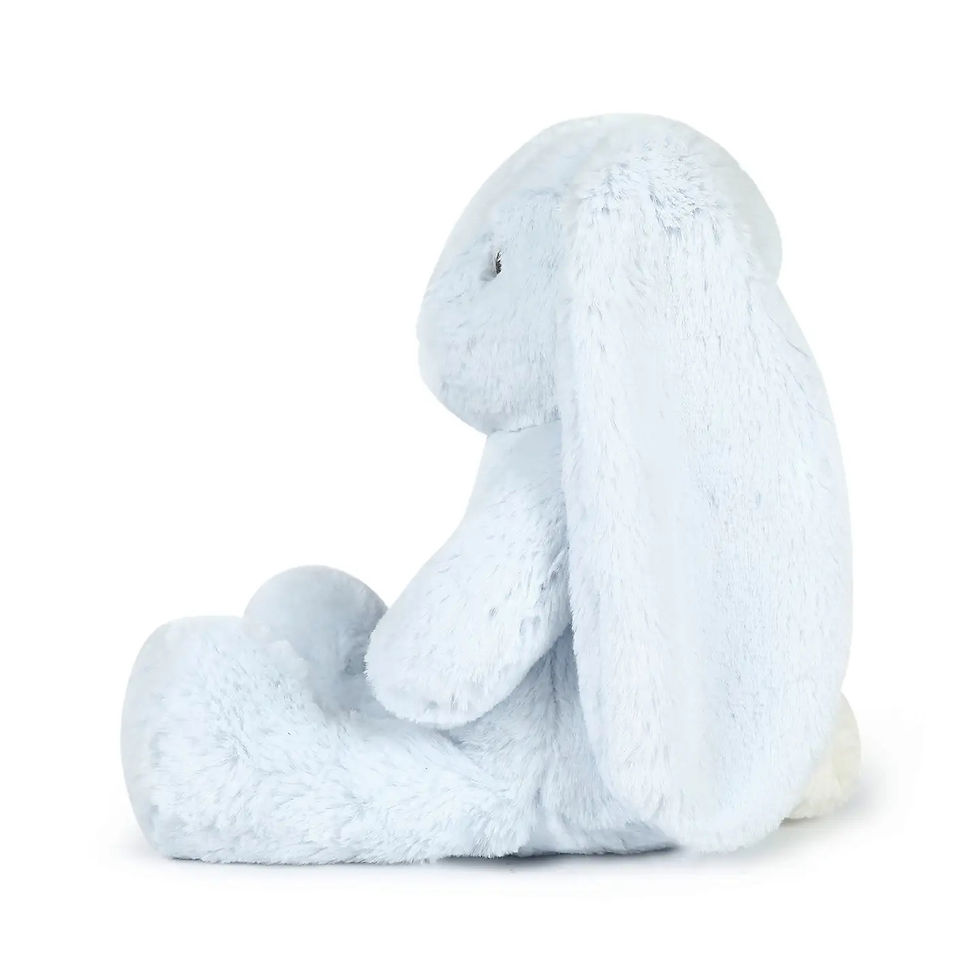 Thumbnail: Blue Bunny Stuffed Animal