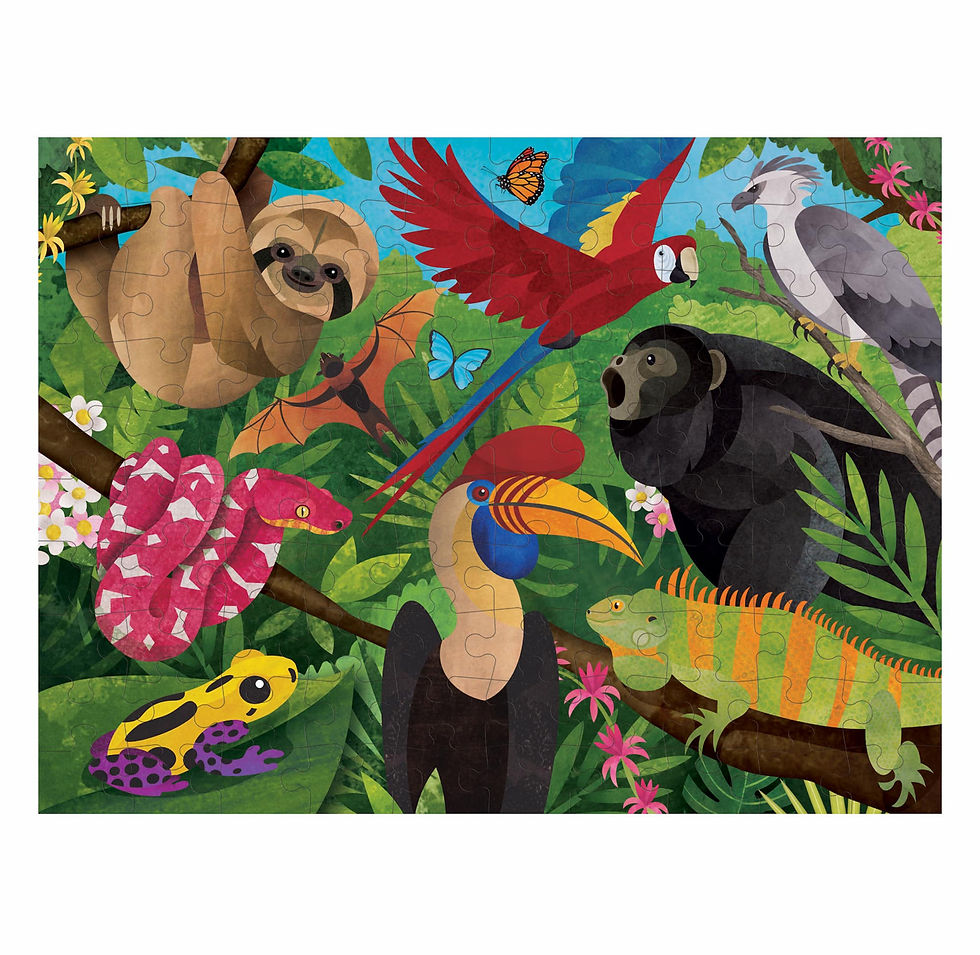 Thumbnail: Rainforest Double Sided Puzzle