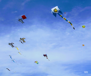 Festival du Cerf-Volant - Saint-Brévin-les-Pins 2025