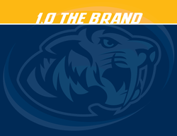 Sabertooth-Style-Guide-2