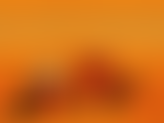 Speech Under Siege of Electoral Law in Myanmar