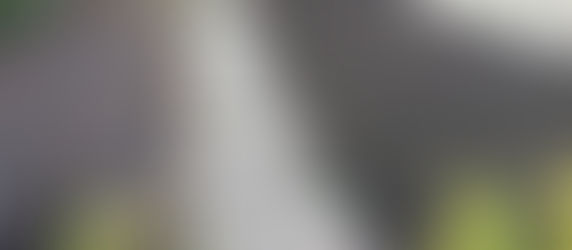 Weeded and Rotavated